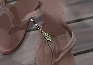 Flip-flops, sketch a day